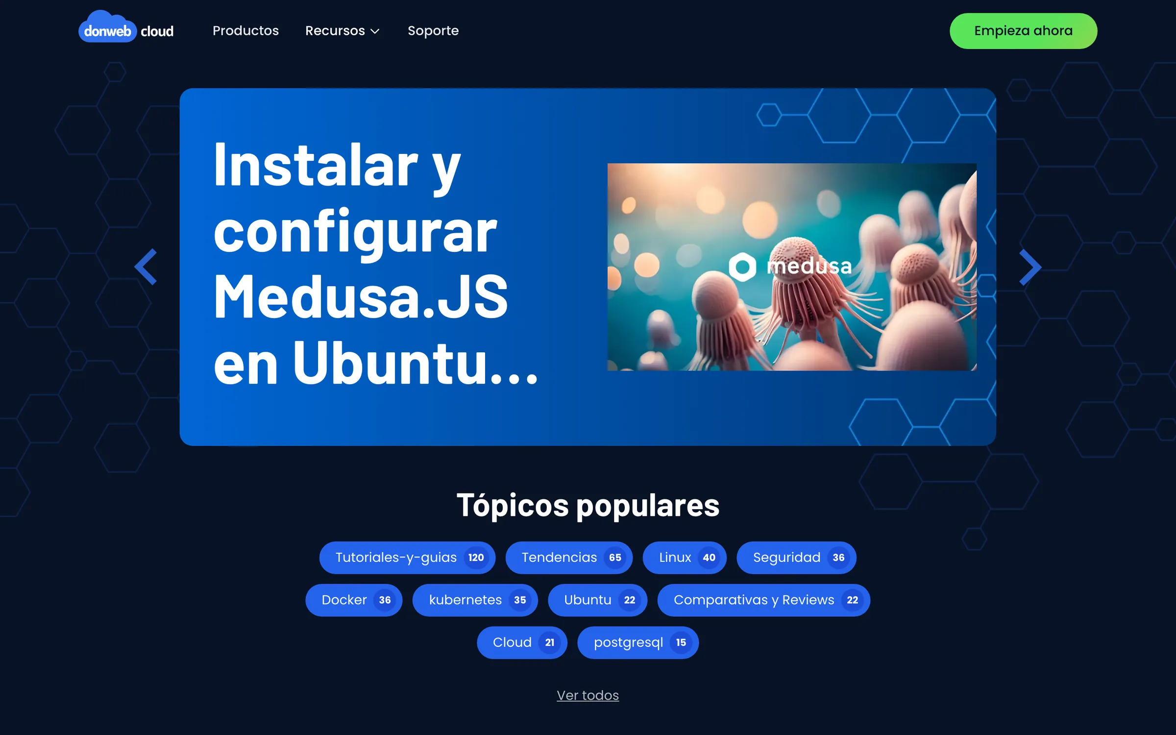Captura de DonWeb Cloud